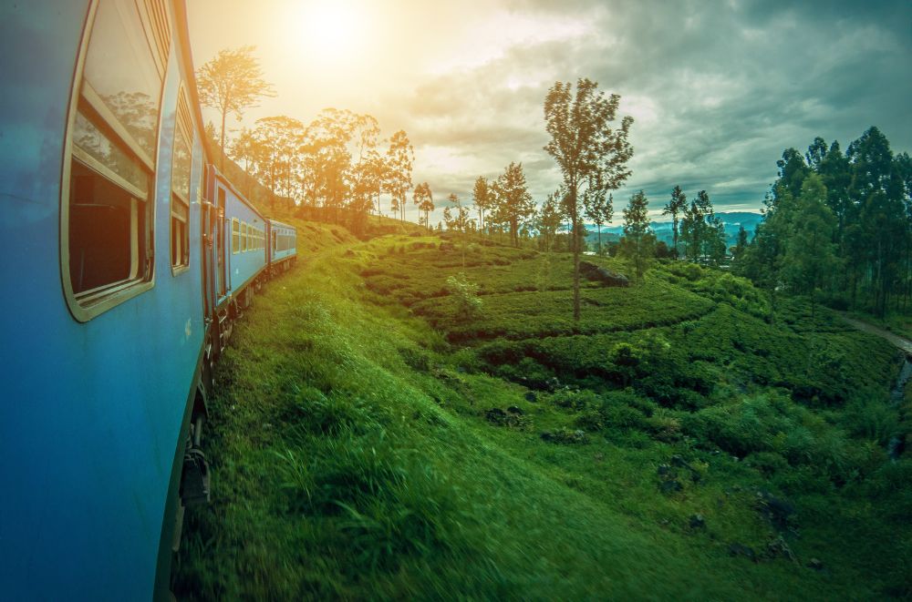 train in sri lanka woth a sunset